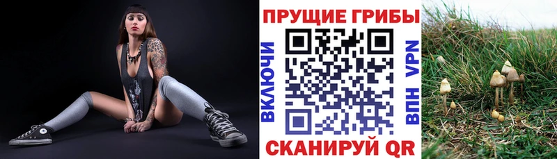Галлюциногенные грибы мицелий  Ханты-Мансийск 